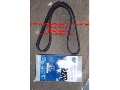 Ремень 8PK800 ЕВРОПА 2.21078 фото 1 Саратов