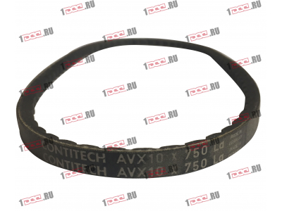 Ремень 10x750 клиновой Европа ЕВРОПА 10x750 фото 1 Саратов