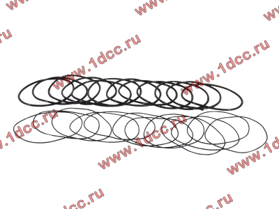 Кольцо уплотнительное гильзы цилиндра (комплект 12 тонких и 12 толстых) двигатель TD226B6G Lonking CDM (СДМ) 01153804/01153805 фото 1 Саратов