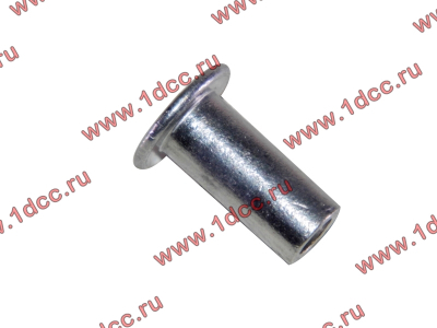 Заклепка алюминиевая 10х24 H2/H3 HOWO (ХОВО) 189000340068 AL фото 1 Саратов