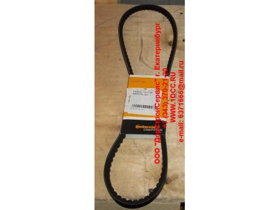 Ремень 13х1125 Европа ЕВРОПА  фото 1 Саратов