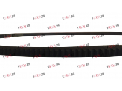 Ремень 13х1250 ЕВРОПА 13x1250 фото 1 Саратов