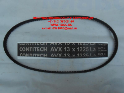Ремень 13х1225 \Omn MAN,MB,DAF ЕВРОПА AVX13X1225 фото 1 Саратов